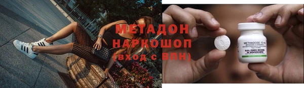 шишки Билибино