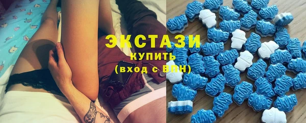 шишки Билибино