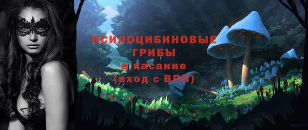 метадон Болохово