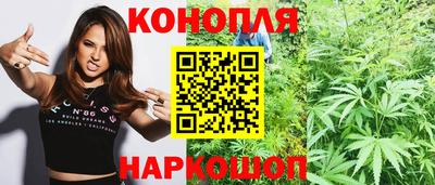 мяу мяу мука Гай