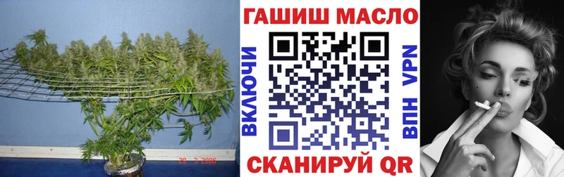 ТГК THC oil  Кингисепп 