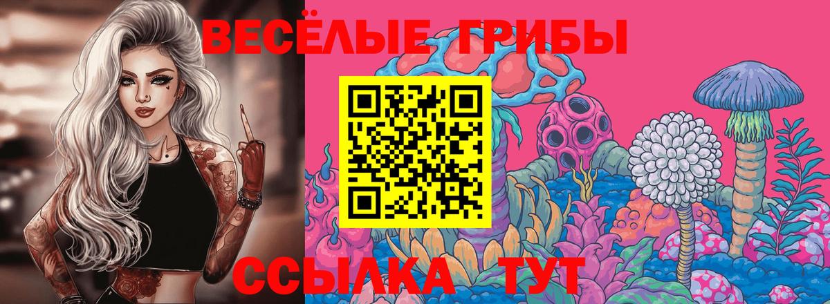 Псилоцибиновые грибы Psilocybe  Вход с VPN  Кингисепп  Псилоцибиновые грибы прущие грибы 